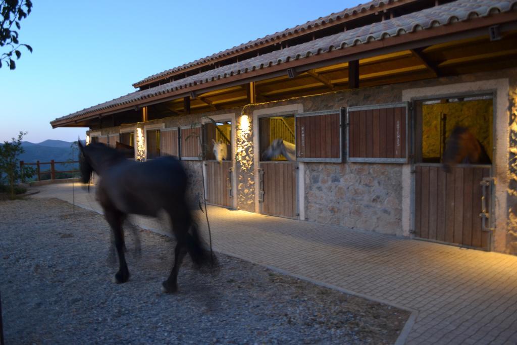 Country Hotel Velani Avdou Luaran gambar